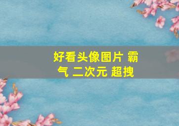 好看头像图片 霸气 二次元 超拽